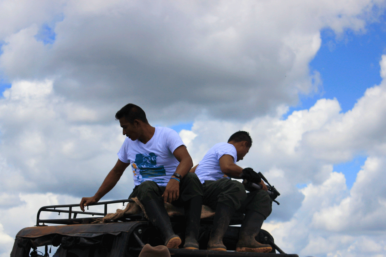 Cambiando armas por cámaras y trípodes